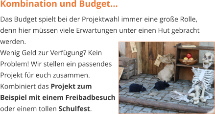 Kombination und Budget... Das Budget spielt bei der Projektwahl immer eine große Rolle, denn hier müssen viele Erwartungen unter einen Hut gebracht werden.   Wenig Geld zur Verfügung? Kein  Problem! Wir stellen ein passendes  Projekt für euch zusammen.  Kombiniert das Projekt zum  Beispiel mit einem Freibadbesuch  oder einem tollen Schulfest.