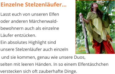 Einzelne Stelzenläufer... Lasst euch von unseren Elfen oder anderen Märchenwald- bewohnern auch als einzelne Läufer entzücken. Ein absolutes Highlight sind unsere Stelzenläufer auch einzeln  und sie kommen, genau wie unsere Duos,  selten mit leeren Händen. In so einem Elfentäschchen verstecken sich oft zauberhafte Dinge.